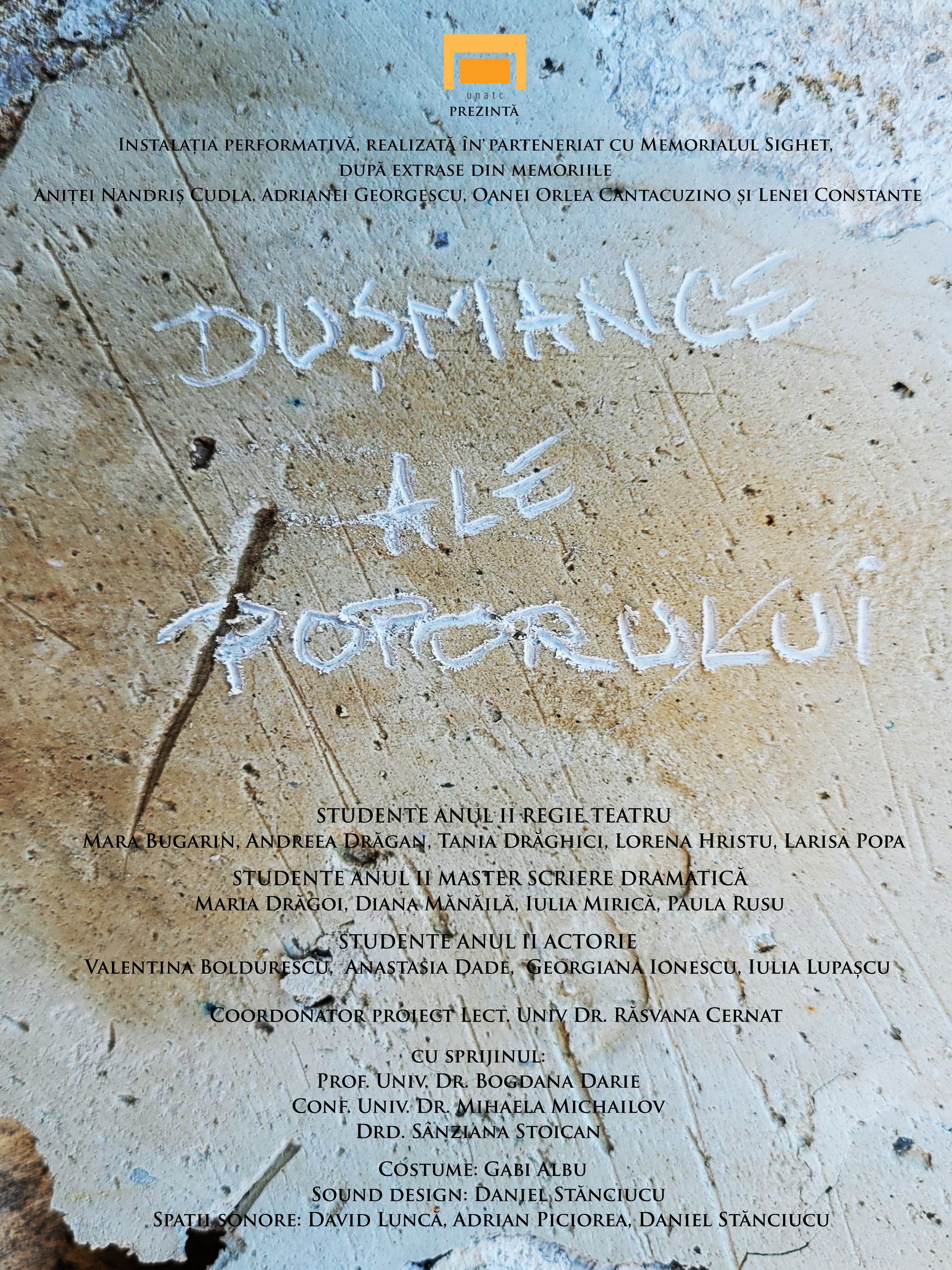 Dușmance ale poporului, instalație performativă